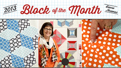 2013 block of the month with Laura Nownes