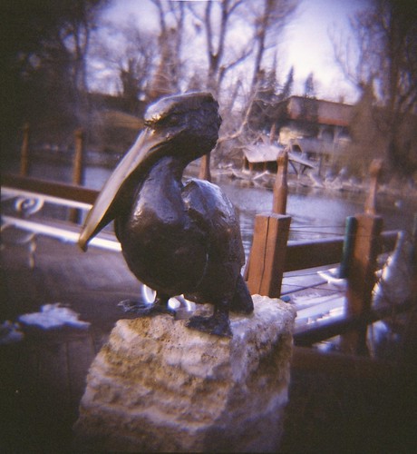 Budapest Zoo (2)