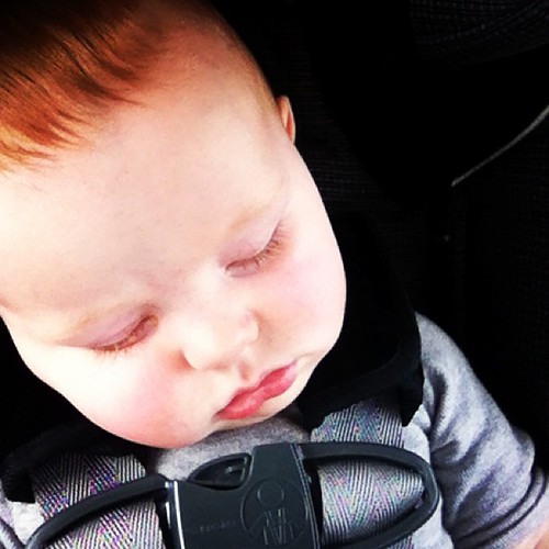 My precious copilot. He has been a perfect baby on this trip. #meganandfinngetnashy #finneganfrancis