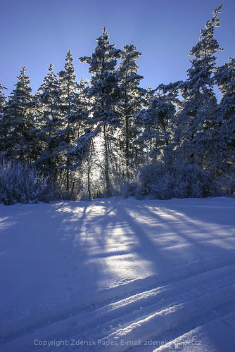 Winter, Böhmerwald by Zdenek Papes