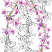 Dendrobium anosmum