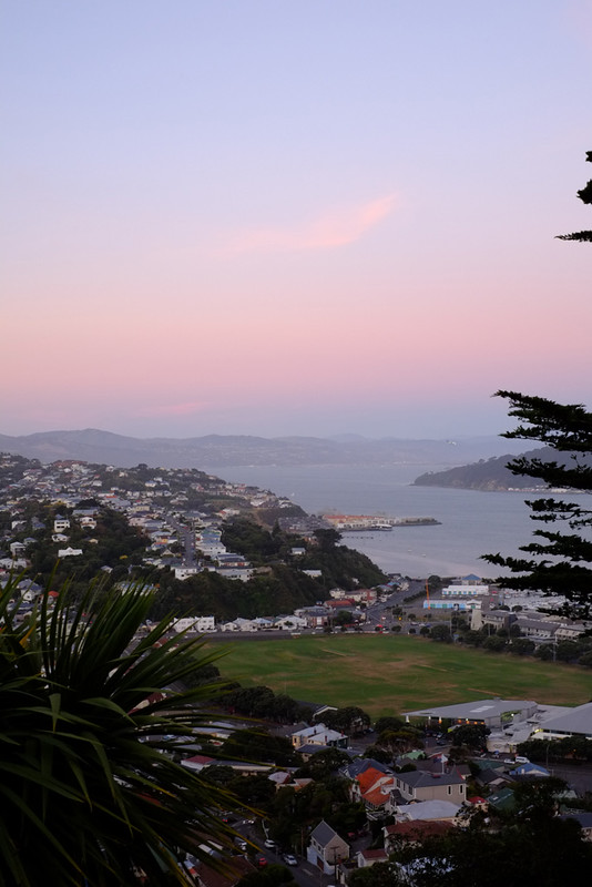 Wellington by sunset