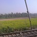 Beautiful Rural India