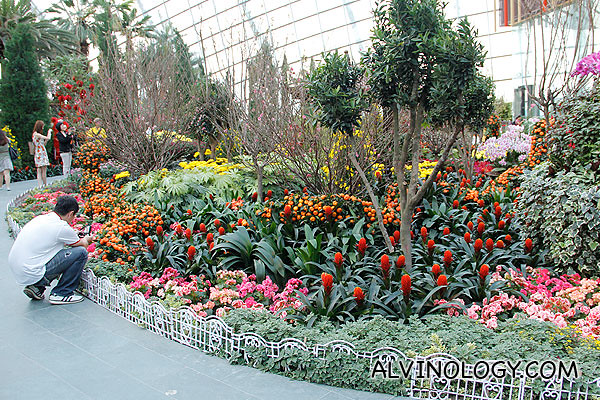 The main foral display area in the Flower Dome 