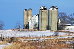 Ontario Farms