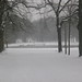 Schnee in Leipzig 141