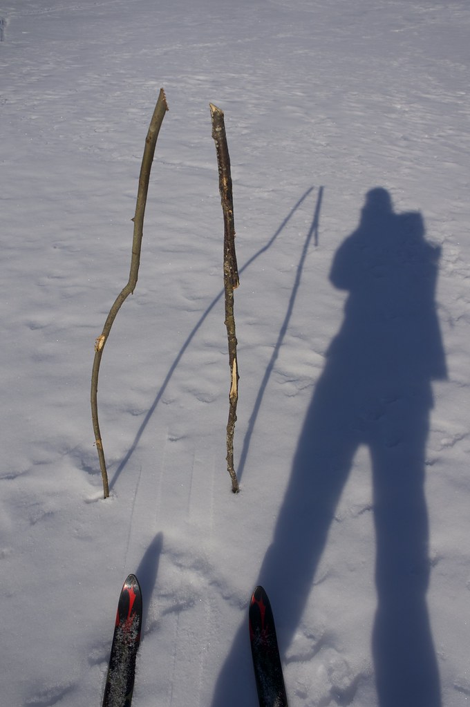 Skiing Poles, improvised