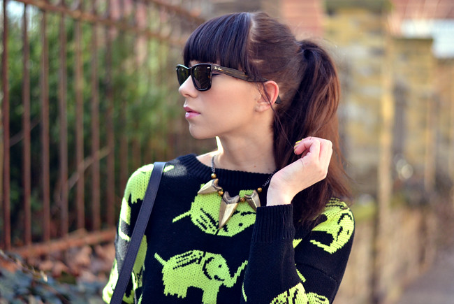 Elephant Neon Jumper Black Yellow Outfit CATS & DOGS 6