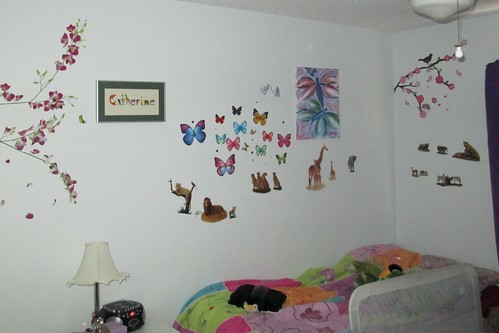 Catie's side of the new room