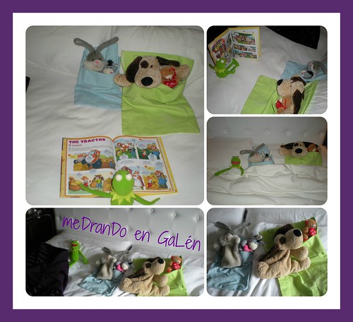 Robby & Patch story and bedtime