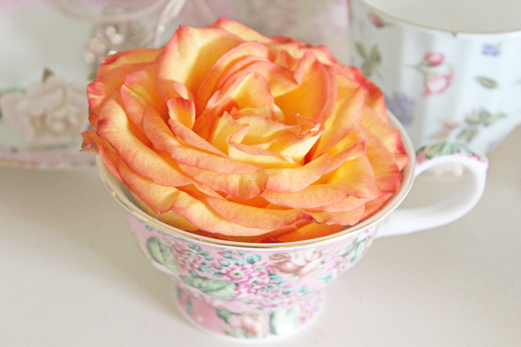 rose teacup