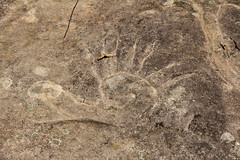 Petroglyphs and Fossils