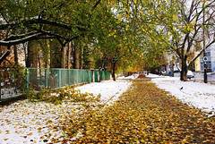 20121028 Zima jesienią - Wyścigi