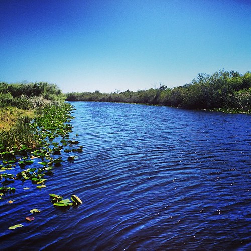 River of Grass #everglades #florida #igersftl