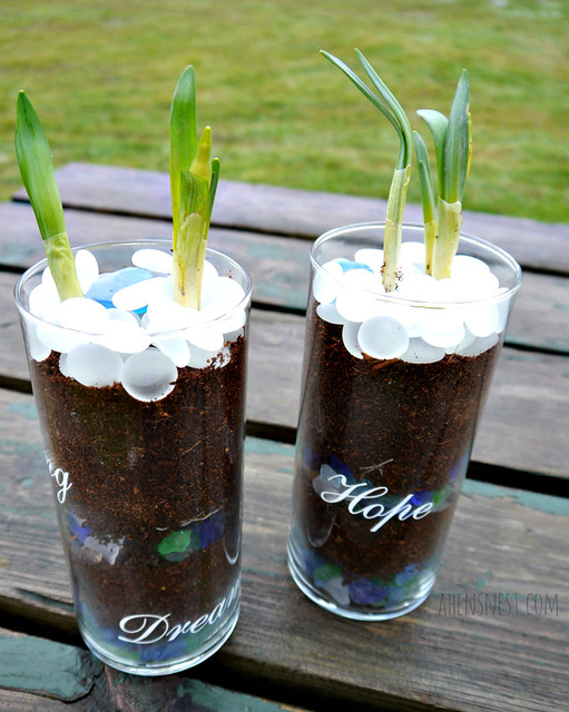 Potted Bulb Craft