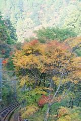 高野山　in 2010
