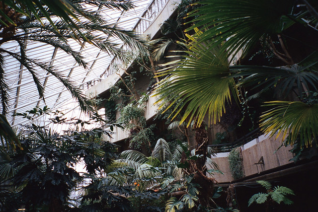 Barbican Conservatory - hans down my favourite place in London