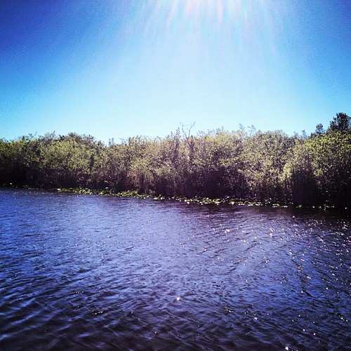 River of Grass. #everglades #florida #igersftl