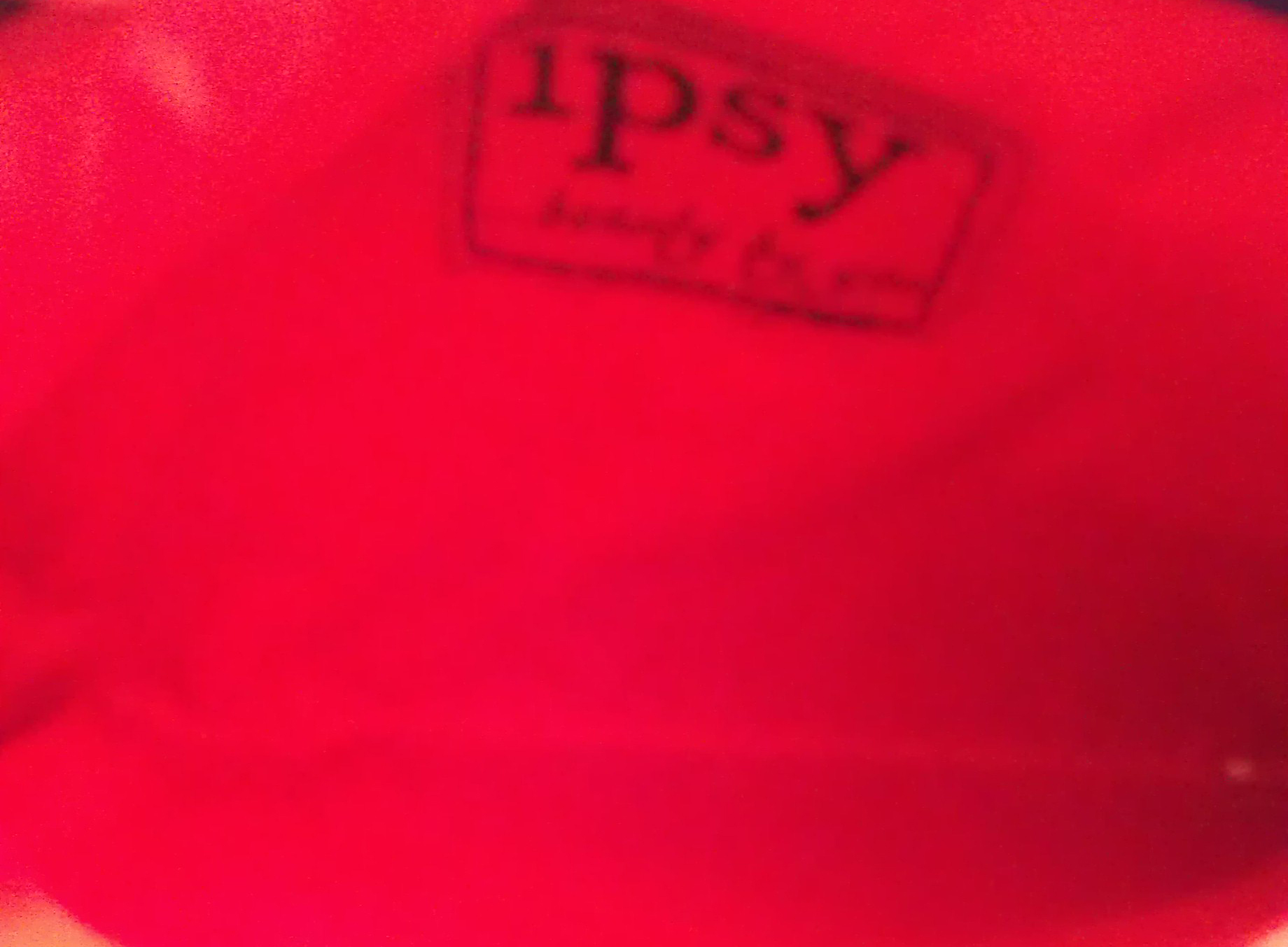 Ipsy February 2013 Bag Inside