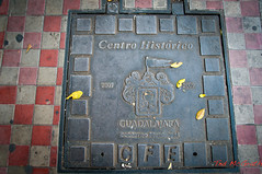 Utility Covers +