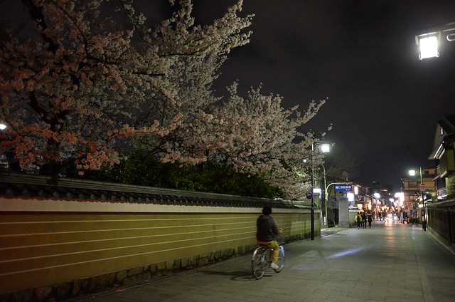 Nikon Coolpix A 日本關西櫻花之旅 實拍分享！