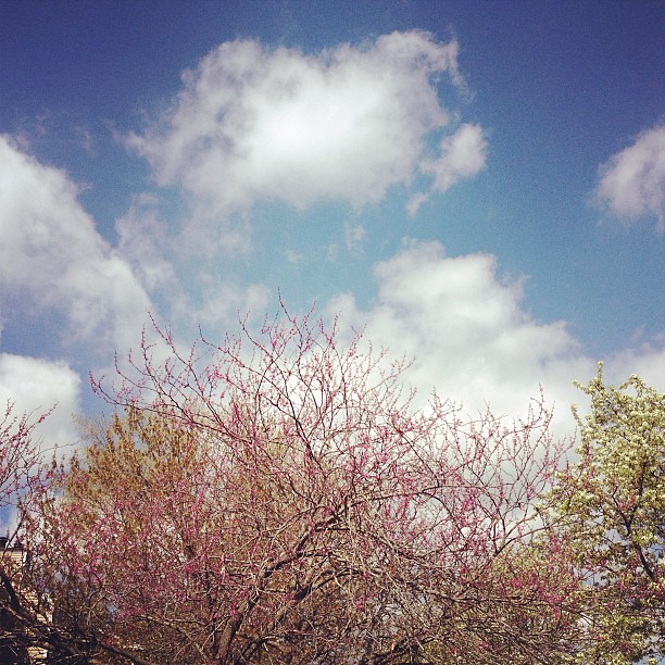 It's a beautiful day for moving! #spring #pretty #sky #skylove