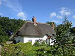 Cottages (and thatch)