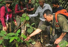 WWF印尼分會野外調查小組在東加里曼丹發現犀牛蹤跡（照片由WWF印尼分會提供）。