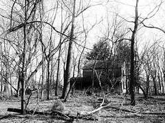 The House in the Woods(Rosicrucian House)