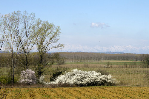 Panorama da Villabella Monferrato