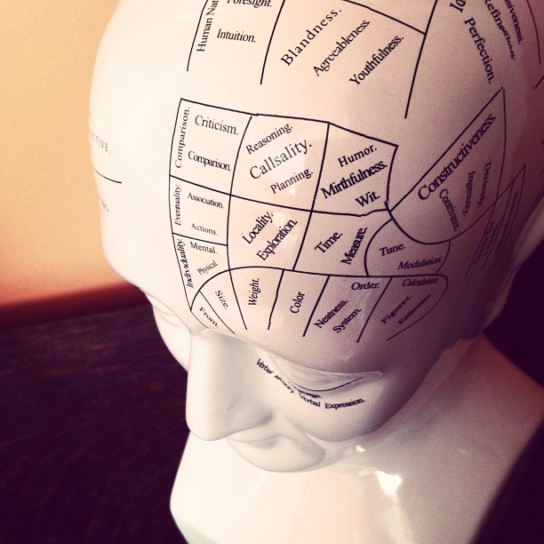 #fmsphotoaday @fatmumslim "on your mind" phrenology head.