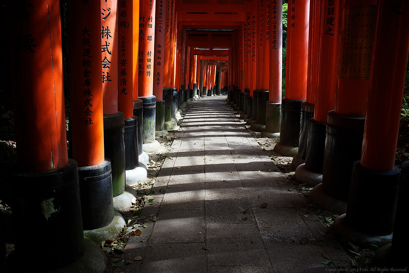 torii gate #3