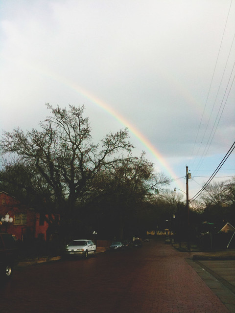 rainbow in tyler