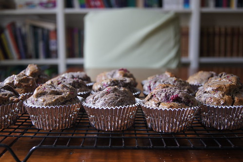 Raspberry and Chocolate Muffins DSC09941