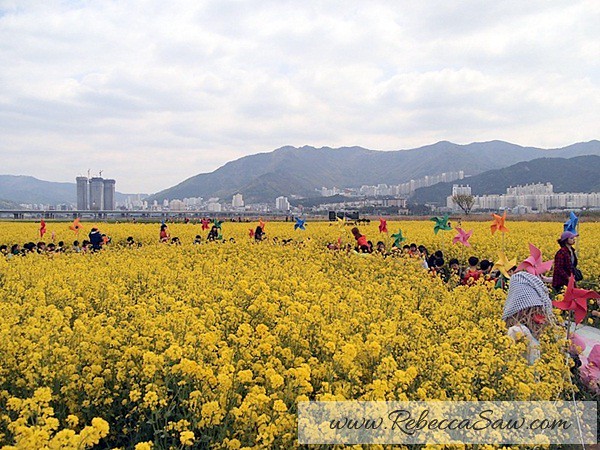 Busan Korea - Day 5 - rebeccasaw-026