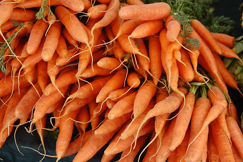 Carrots in Season
