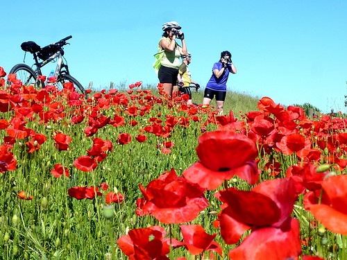 cycling trips for women to Puglia