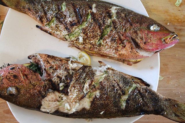 Grilled Red Snapper off grill