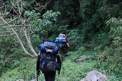 背著沉重的背包行走山林間，對資調隊來說是家常便飯。（圖片來源：林務局）