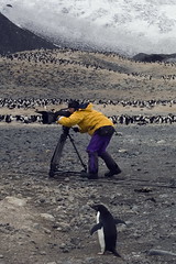 《最後的藍海》，由紐西蘭著名的野生動物影片製片人－－Peter Young耗時6年，深入南極中心的「羅斯海」（Ross Sea）拍攝，為海洋生態消失留下珍貴紀錄。