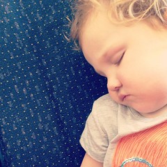 Sleepy flight