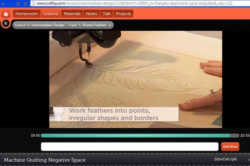 machine quilting negative space lesson 9 with angela walters, a plume feather