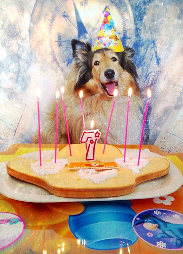 Happy Birthday Lassie! by Hermio Black
