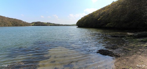 River Fal by Stocker Images