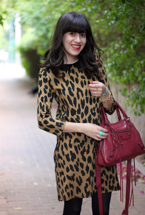 topshop leopard dress, balenciaga bag, israeli fashion blog, בלוג אופנה, תיק בלנסיאגה, תיקי מעצבים, שמלה מנומרת טופשופ