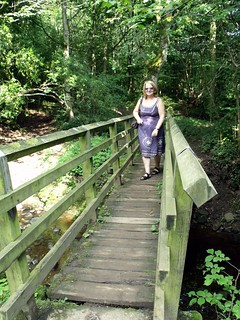 Bridge Deepdale Wood