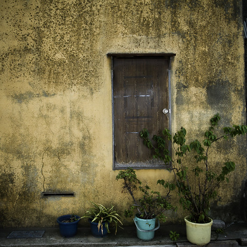 Sub Door with Potted Plants, Monzennakacho