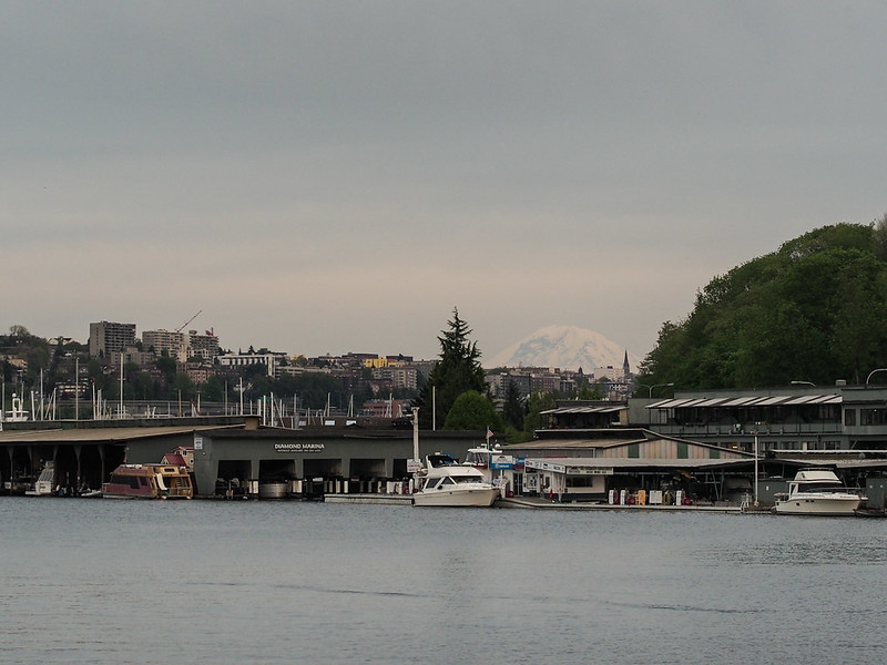 Mt. Rainier as seen from the ship canal near Fremont