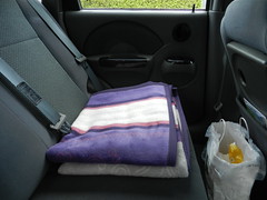 Car blanket, and my elegant car bin