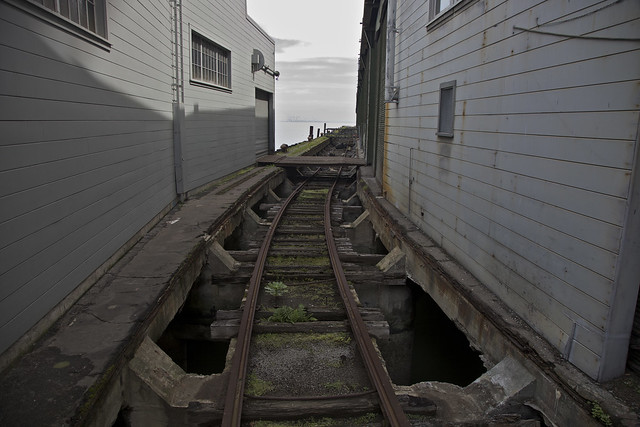 The Tracks of My Piers